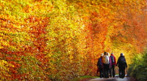 Ramblers autumn walk in East Lothian - credit Ben Dolphin